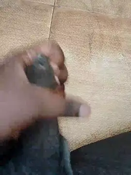 Snapshot of Saikishore00000 chatting on 15, 9, 2025 Saikishore00000 online show from 15, 9, 2025