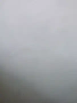 Saikishore00000 online show from 3, 2, 2026