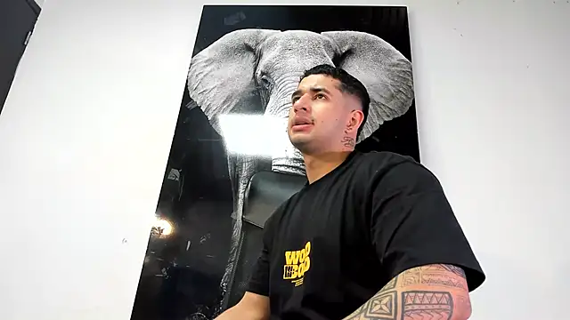 king falconer online show from 26, 10, 2025