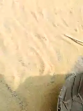 CatchingBouquet online show from 21, 11, 2025