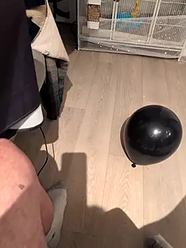 Bimalehung online show from 2, 11, 2025