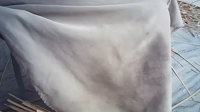 Elisa24 online show from 14, 1, 2026