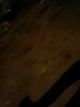 Snapshot of jvdzj-0_ chatting on 28, 10, 2025 jvdzj-0  online show from 28, 10, 2025