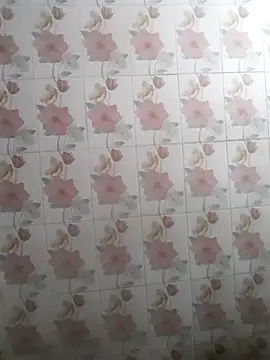 bhaijaan66 online show from 25, 11, 2025