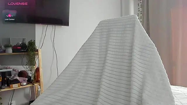 wwow meow online show from 13, 2, 2026