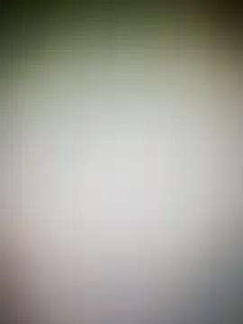 guridosul051 online show from 17, 3, 2026