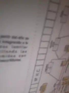 bocadepecado online show from 30, 9, 2025