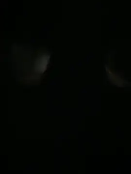 Snapshot of Archie-Davis chatting on 31, 10, 2025 Archie-Davis online show from 31, 10, 2025