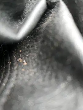 legaros online show from 19, 10, 2025