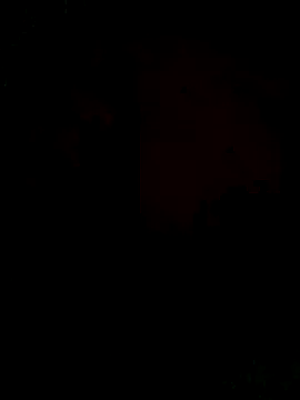 Ori-Lynk online show from 1, 12, 2025