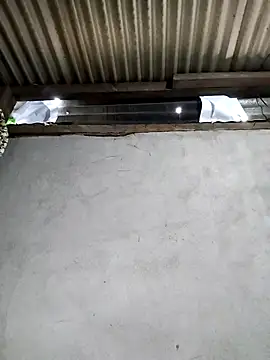 Baby-sexyass96 online show from 26, 2, 2026