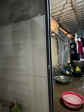 ThiHa003 online show from 1, 4, 2026