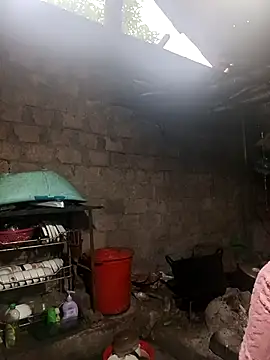 Ocnguyety online show from 11, 1, 2026