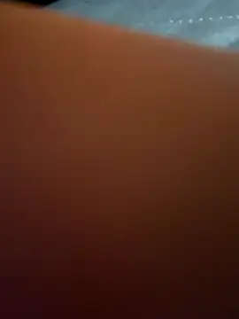 Snapshot of Link_lee chatting on 17, 10, 2025 Link lee online show from 17, 10, 2025