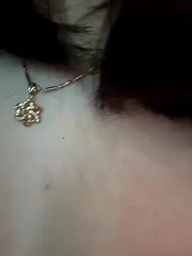 Snapshot of Link_lee chatting on 28, 11, 2025 Link lee online show from 28, 11, 2025