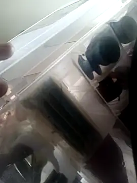 Snapshot of Isabella5_Brown_ chatting on 7, 10, 2025 Isabella5 Brown  online show from 7, 10, 2025