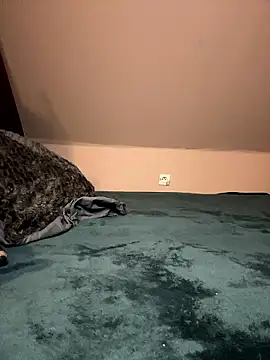 Xx2564 online show from 11, 1, 2026