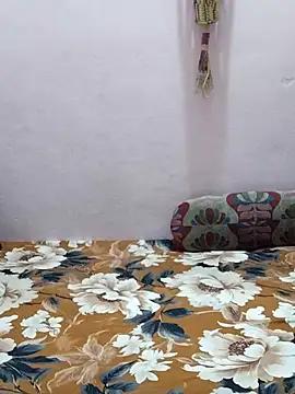 sneha bebo online show from 24, 2, 2026