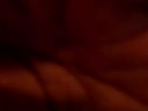 TRANSPORNIDOL online show from 22, 11, 2025