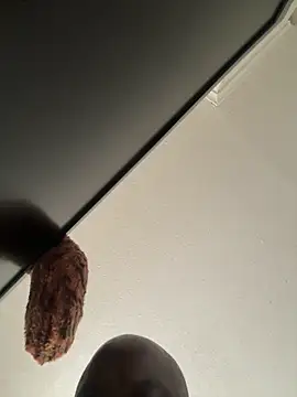 devon3421 online show from 23, 4, 2026