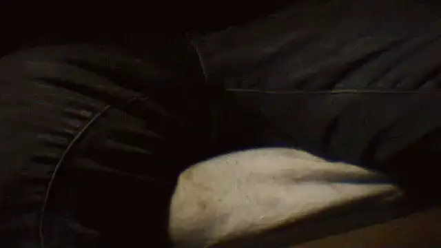 pietje1991 online show from 25, 3, 2026