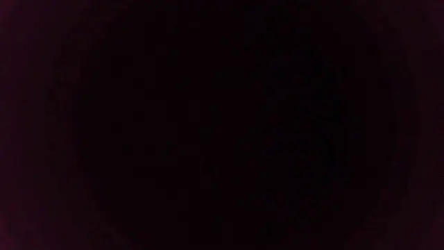 sakuradelreina online show from 15, 12, 2025