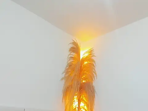 Kieran kian online show from 14, 2, 2026