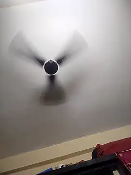 Snapshot of Devi-with-Ram chatting on 16, 10, 2025 Devi-with-Ram online show from 16, 10, 2025