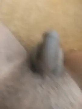 King Raj99 online show from 18, 10, 2025