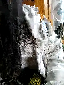 Tiyir597 online show from 2, 11, 2025