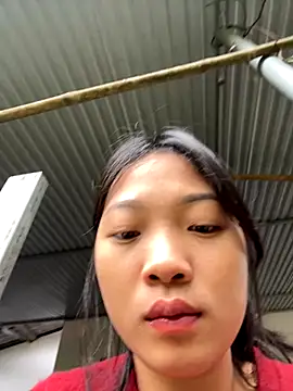 Phayphay77 online show from 21, 11, 2025