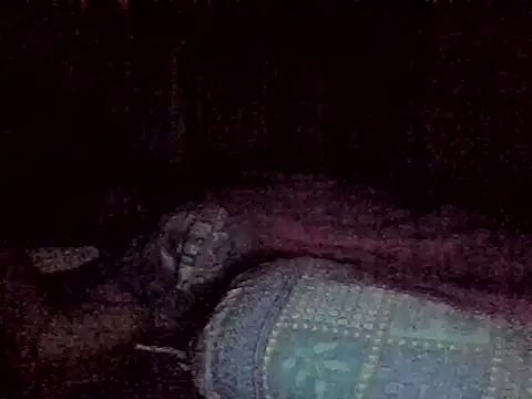 harish x online show from 18, 2, 2026