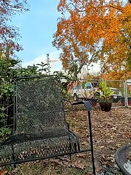 sizableunicorn7 online show from 6, 11, 2025