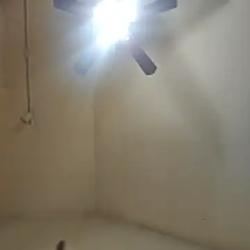 Snapshot of Tclarke93 chatting on 12, 11, 2025 Tclarke93 online show from 12, 11, 2025