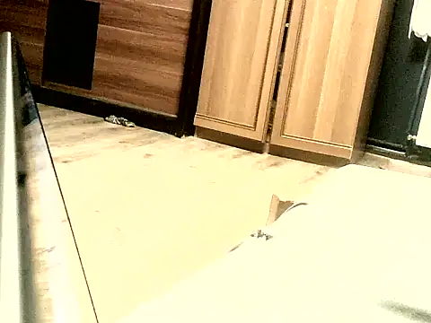 Snapshot of KissMeAss9387 chatting on 28, 9, 2025 KissMeAss9387 online show from 28, 9, 2025