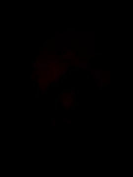 bella01-25-23 online show from 9, 9, 2025