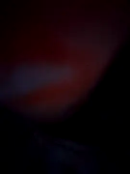 Snapshot of Exotic-bhabhi chatting on 10, 10, 2025 Exotic-bhabhi online show from 10, 10, 2025