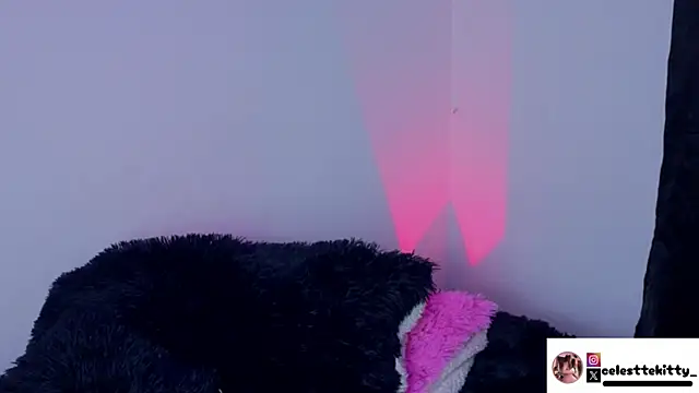 celestte evans 1 online show from 8, 2, 2026