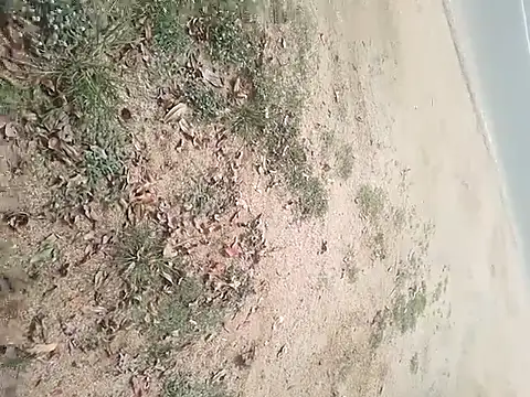 SAManthapathmasri online show from 17, 11, 2025