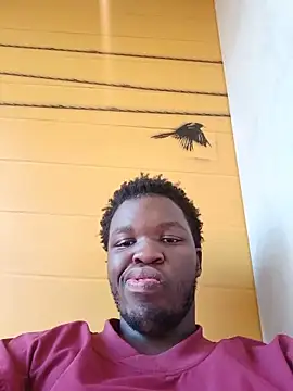 niccobigd online show from 24, 5, 2026