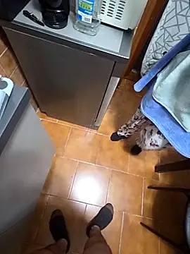 Snapshot of coppiaoraleee chatting on 20, 11, 2025 coppiaoraleee online show from 20, 11, 2025