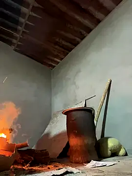 Sunny lotus online show from 15, 12, 2025