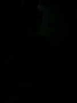 Snapshot of Reeelo chatting on 7, 11, 2025 Reeelo online show from 7, 11, 2025