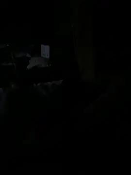 Snapshot of Reeelo chatting on 15, 12, 2025 Reeelo online show from 15, 12, 2025