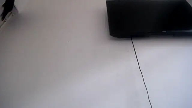 Foxy Lovex online show from 7, 4, 2026