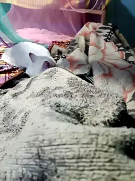 m11a2f3a4z5 online show from 14, 2, 2026