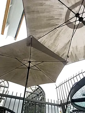 Sallem Pink online show from 31, 3, 2026