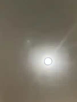 michael877675 online show from 27, 3, 2026