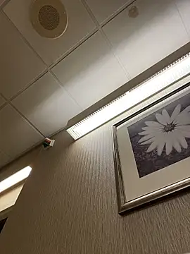 Tu GataLinda online show from 1, 11, 2025