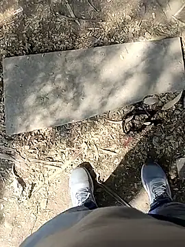 Snapshot of indian_pavi chatting on 19, 1, 2026 indian pavi online show from 19, 1, 2026